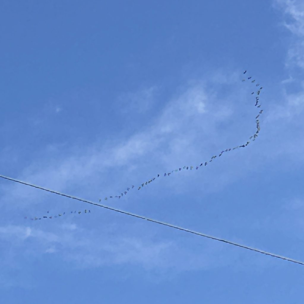 A square photo of a blue sky with a few wispy clouds, and a V of geese migrating toward the lower right of the photo.